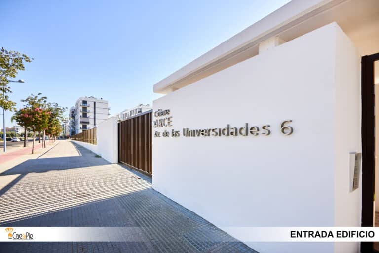 AVD UNIVERSIDADES 6 EXTERIORES1