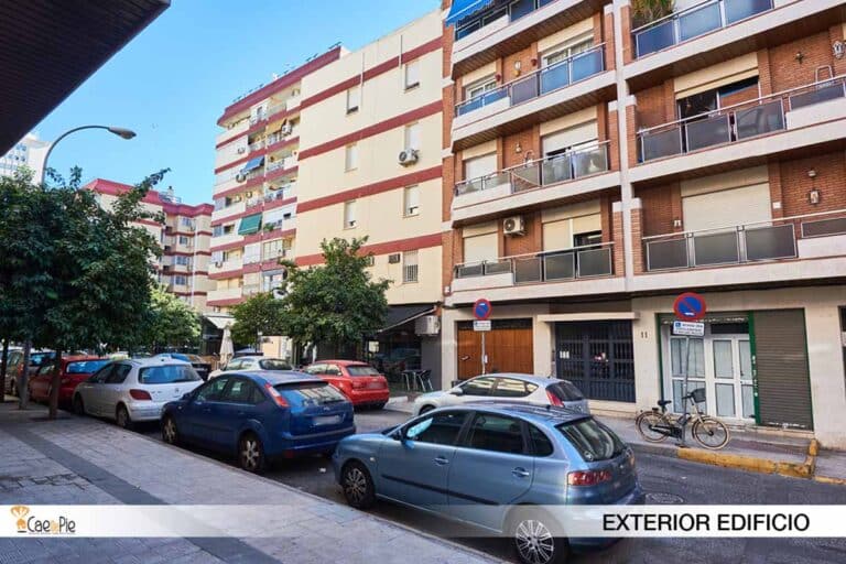 CAMPOAMOR2