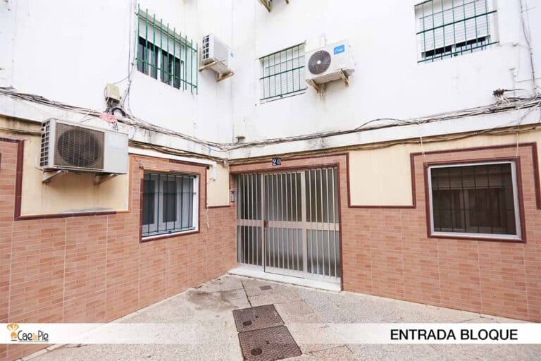 DRFEDRIANI20 CONLOGO3