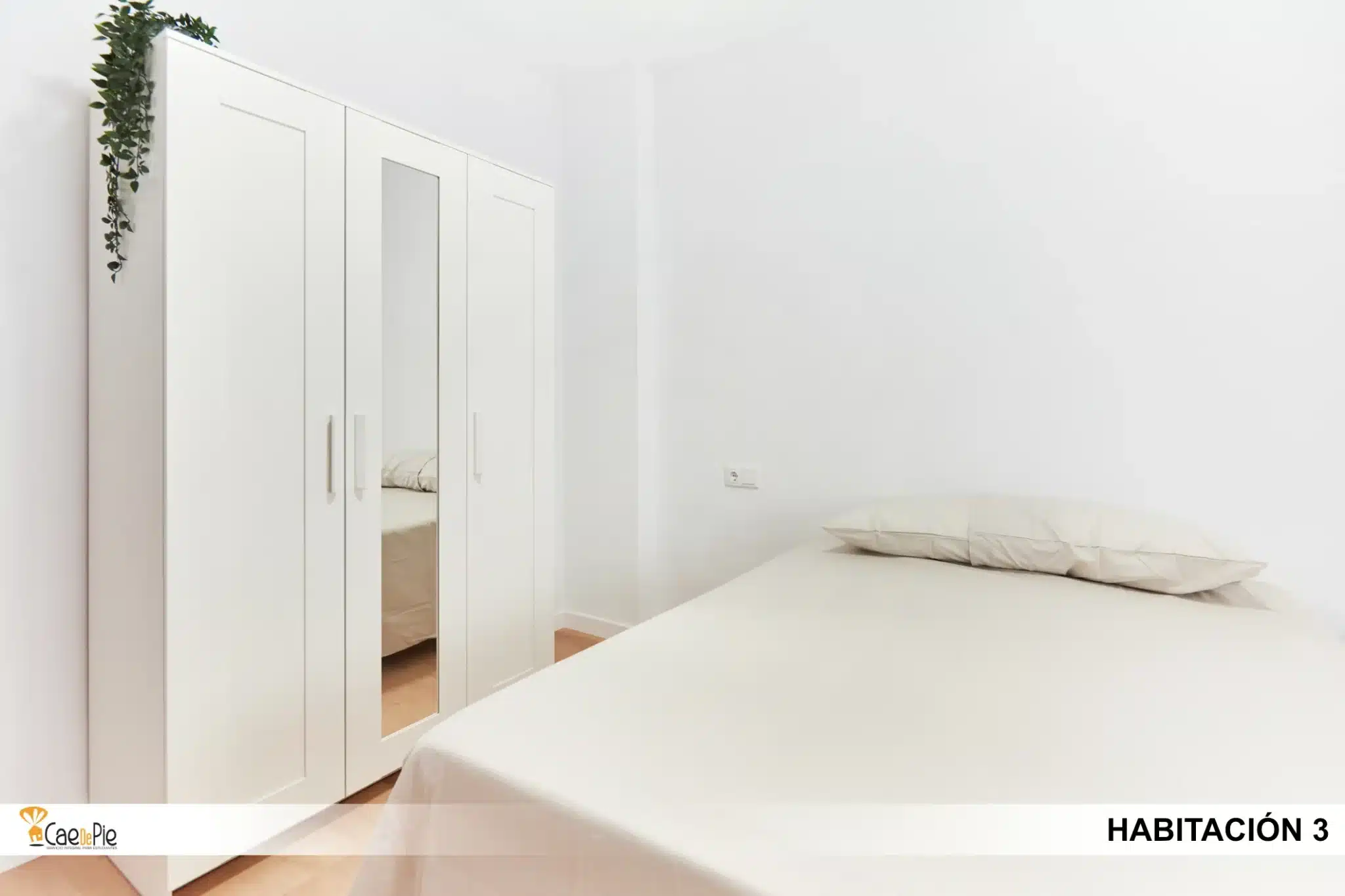 HABITACION 3 EVANGELISTA 40 SEVILLA3