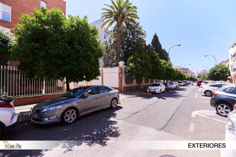 MARQUEZ DE NERVION 26 28 2