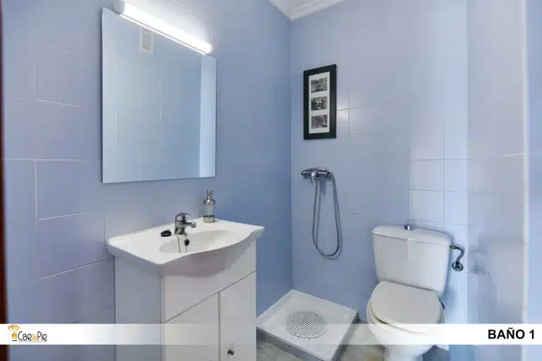 PISO AVD PINO MONTANO SEVILLA12