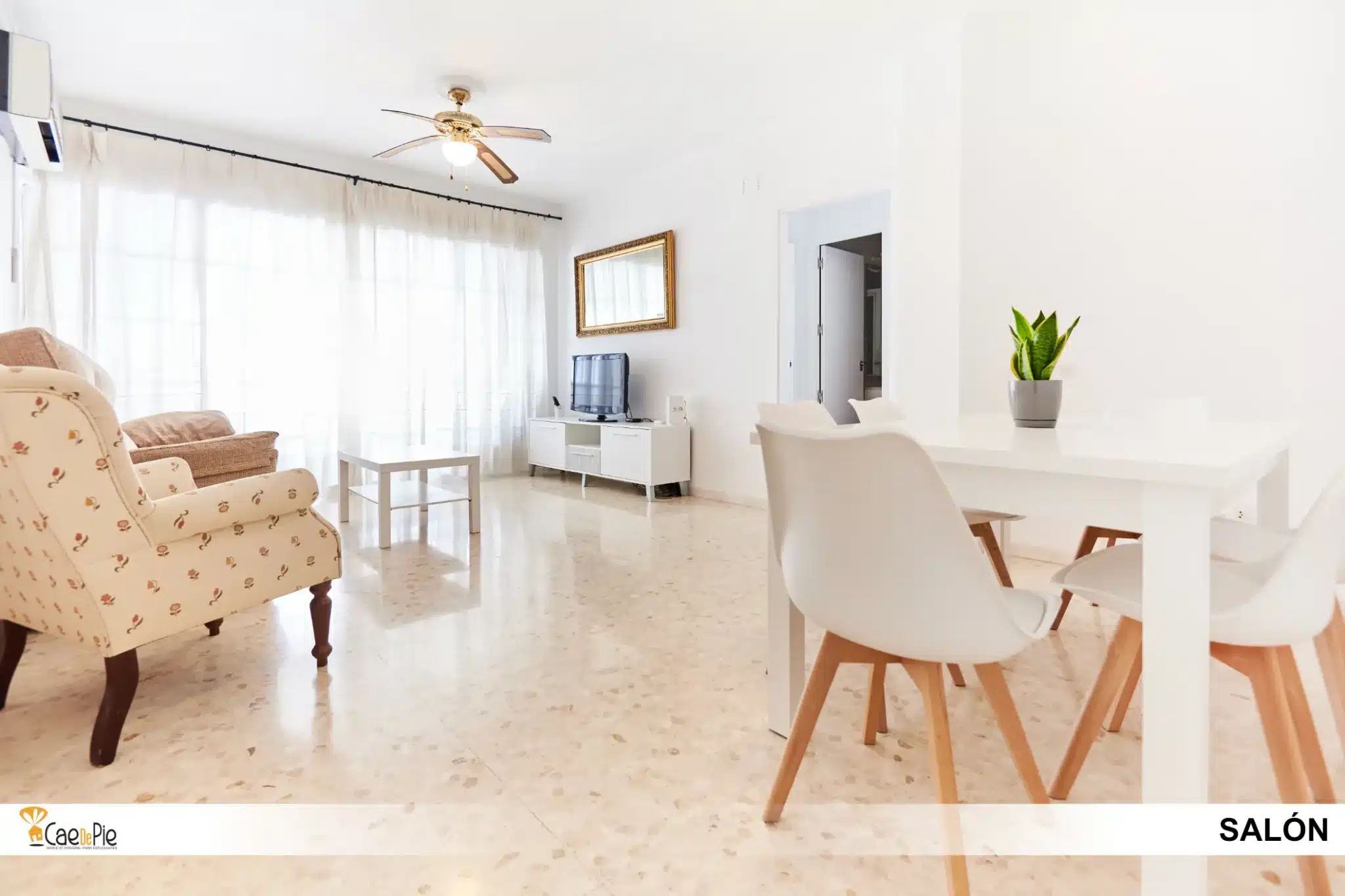 PISO CALLE FARMACEUTICO MURILLO SEVILLA4