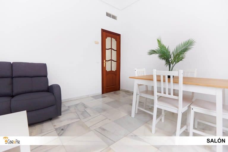 PISO CARLOS BRUJES N6 SEVILLA5