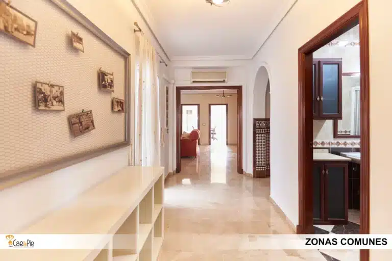 PISO HERNAN RUIZ 7 SEVILLA22