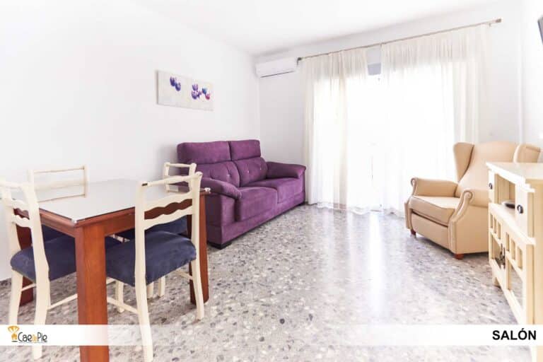 PISO PLAZA ALJARAFE 8 SEVILLA2