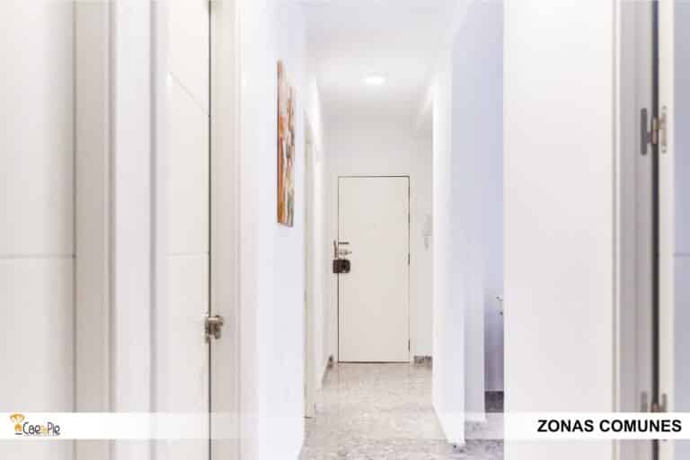 PISO PLAZA ALJARAFE 8 SEVILLA22