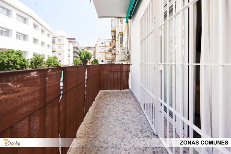 PISO PLAZA ALJARAFE 8 SEVILLA23