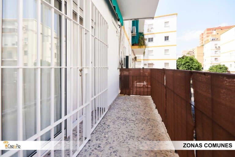 PISO PLAZA ALJARAFE 8 SEVILLA24