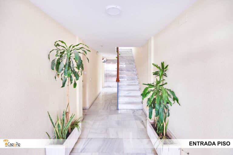 PISO PLAZA ALJARAFE 8 SEVILLA26