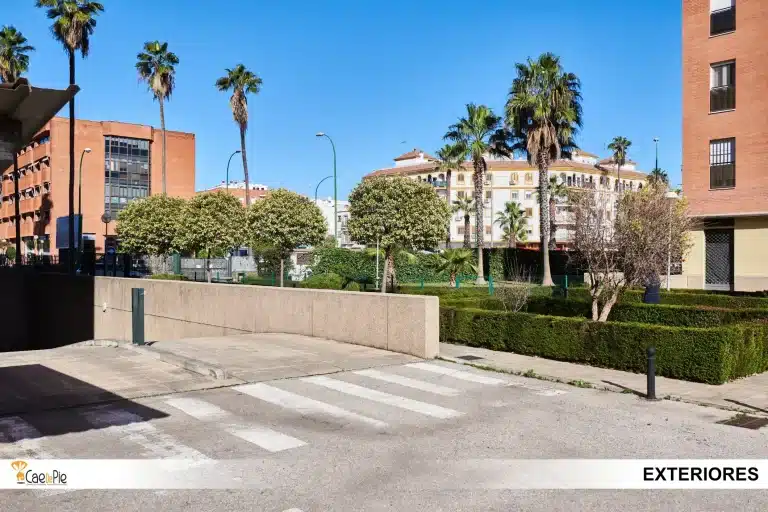 PISO SU EMINENCIA N28 SEVILLA35