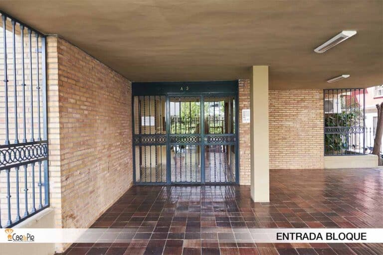 PORVENIR 36 CONLOGO5