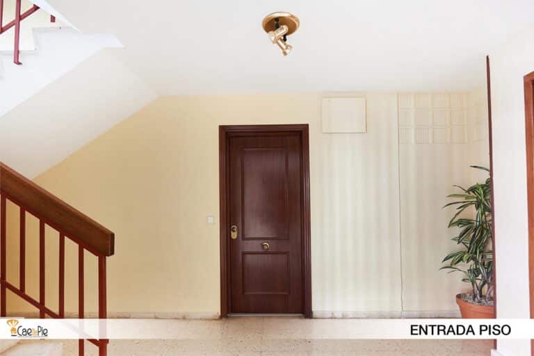 PORVENIR 36 CONLOGO6