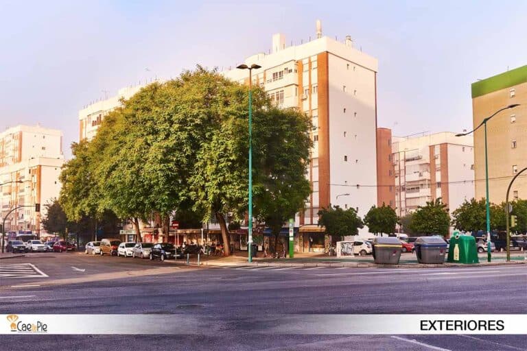 SANCHEZPIZJUAN6 CONLOGO 1