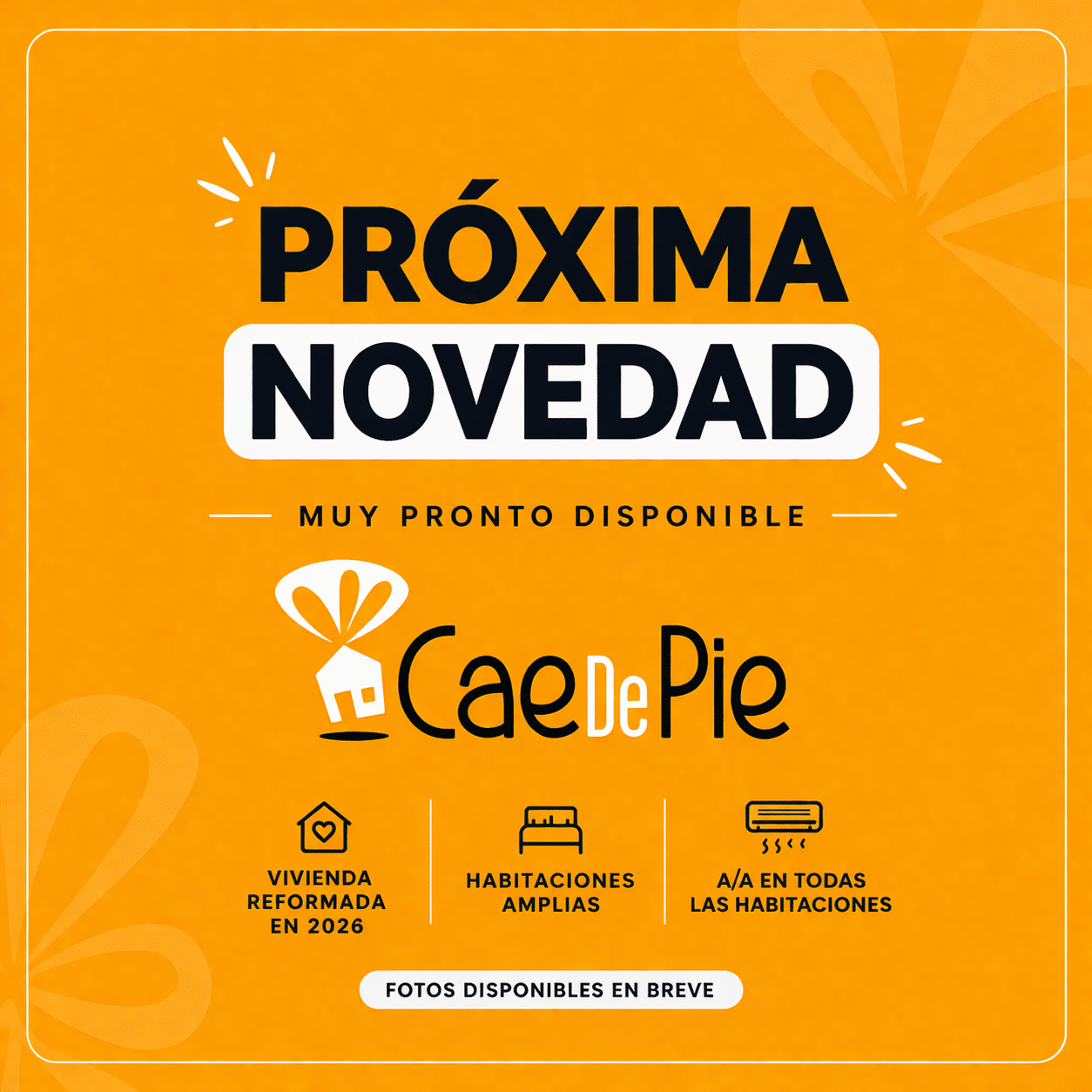 próxima novedad